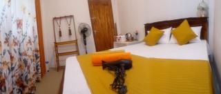 ALEXANDRA HOME for foreign tourists only - Gampola - 1