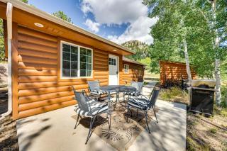 Cabin in Eleven Mile Village with Patio and Gas Grill! - 8