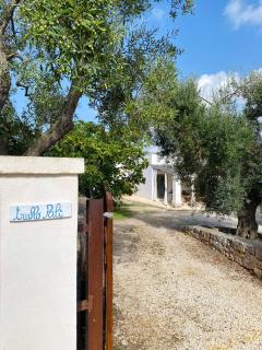 Trullo Palì - Ostuni - 9