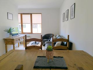 Pine`s Lodge , private Wi-FI - Bansko - 6