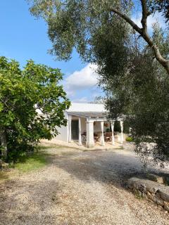 Trullo Palì - Ostuni - 7