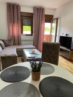 Apartman Bulatovic - 8