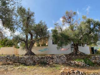 Trullo Palì - Ostuni - 1