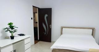 Apartament Tudorache Premium - Turceni - 2