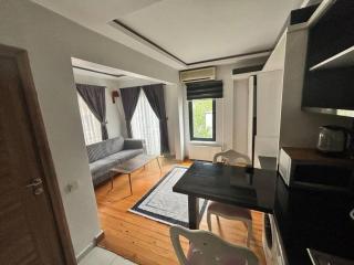 Spacious and Cozy Flat near Taksim Square no3 - Istanbul - 9