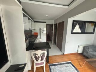 Spacious and Cozy Flat near Taksim Square no3 - Istanbul - 3