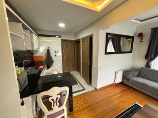 Spacious and Cozy Flat near Taksim Square no3 - Istanbul - 1