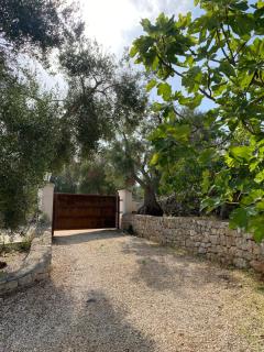 Trullo Palì - Ostuni - 8