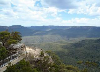 The Knitting Nest - Leura - 0