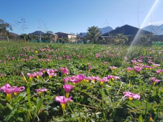 Camp Jakkalsfontein - Entire farm & Campsite - 8