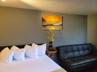 Waikiki Studio Steps to Beach-Mall Free Parking-WiFi - Honolulu - 2