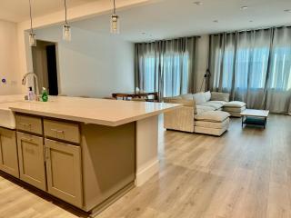 Spacious new house in Folsom Ranch 4BD and 3BA with backyard and BBQ grill - Folsom - 4
