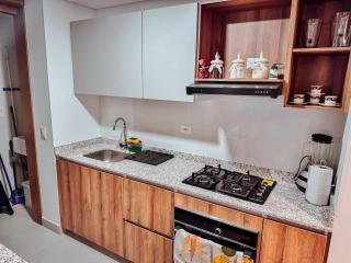 Ambar Roca 1001 - Gaira - 3