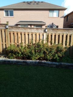 Osaka One-bedroom basement apartment - Mississauga - 5