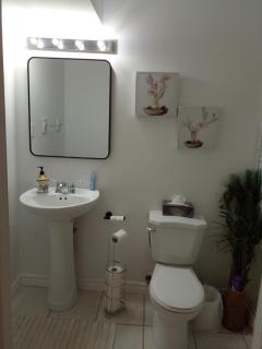 Osaka One-bedroom basement apartment - Mississauga - 2