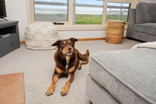 Esplanade Escape Absolute Beachfront WIFI-NBN - Middleton - 8