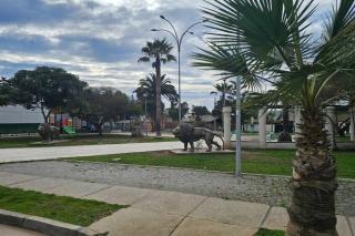 Departamento en La Herradura - Coquimbo - 7