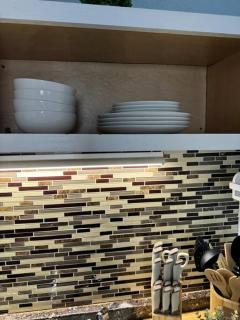 Florida Paradise - 4