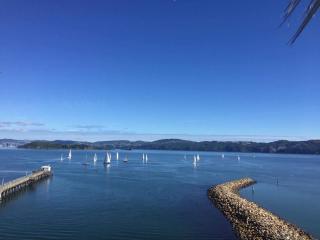 Private 1 bedroom with amazing sea views - Lower Hutt - 0