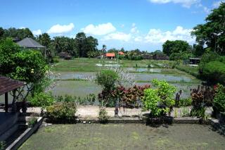 Puri Dalam Villa - Ubud - 4