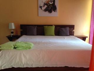 BEACH OPEN-FLAT with TERRACE ANALIA - Manuel Antonio - 6