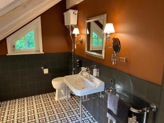 Luxus Hotel Design Villa Ottilienruh Ilsenburg im Harz - Ilsenburg - 5