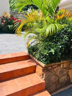 Alsander Homes Peach - Bweyogerere - 9
