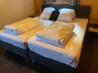 Tiny House facing the Alps - Ski in, Ski out - Anzère - 4