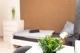 CosyHomes24 - Gemütliches Apartment mit eigenem Innenhof und Parkplatz - Hagen - 8
