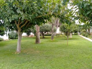 ESTUDIO EN TRES CARABELAS, PLAYA LAS FUENTES - 6