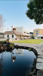 Yangyang Staydaro - 4