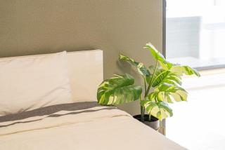 Daebudo Artico Private Pension - 1