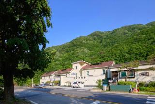 Natural Harmony Spa Pension - Gapyeong - 6