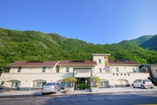 Natural Harmony Spa Pension - Gapyeong - 8
