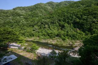 Natural Harmony Spa Pension - 7