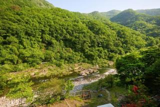Natural Harmony Spa Pension - Gapyeong - 4