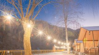 Gapyeong Starlightnuri Glamping - Gapyeong - 5