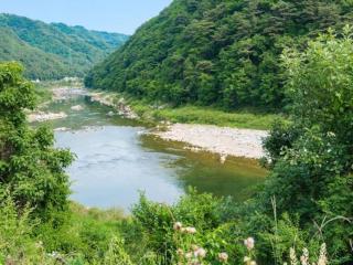 Inje Rainbow Pension - Inje - 3