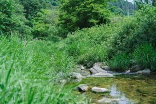 Gapyeong Imchori Buttumark Pension - 2