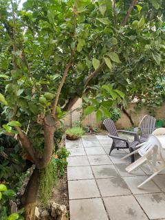 Casa Marylu con giardino - Marina di Schiavonea - 4
