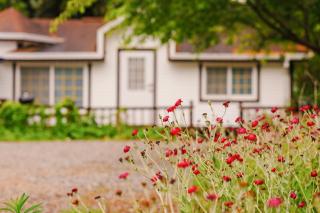 ahnmyeondo mabupisung pension - 1