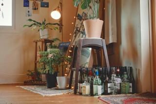 Jeju Hadoya Beer N Bed - Jeju - 7