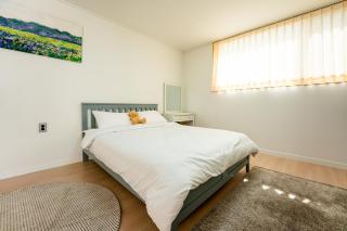 Da Pension to Stay at Jeju Fisheries - 8