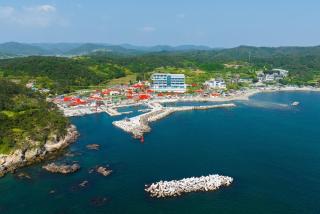 Pohang Madame Annette Pool Villa dogs allowed - Pohang - 5