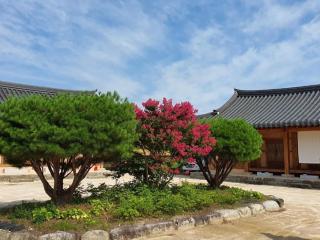 Hamyang Namgye Ilodang Hanok Stay - Hamyang - 1