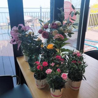 Yeongduk Brie Pension - 3