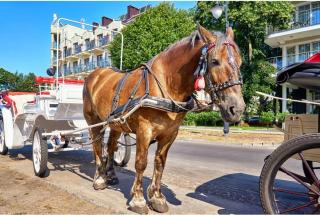 Swinemünde Ananda Bernstein - 5