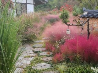Naju Gotaeg Flowers are blooming on the mountain - Naju - 8