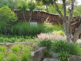 Naju Gotaeg Flowers are blooming on the mountain - 3