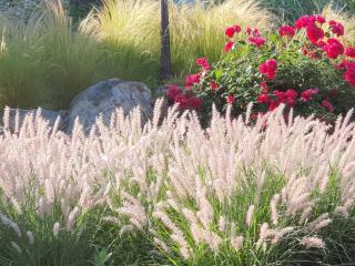 Naju Gotaeg Flowers are blooming on the mountain - 4